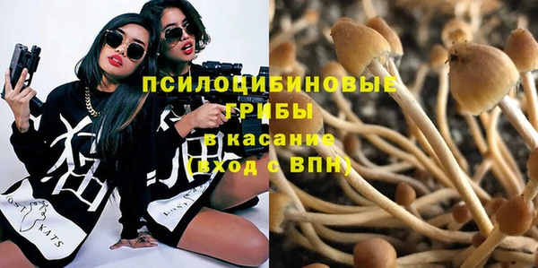 герыч Аркадак