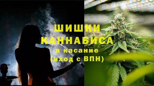 стаф Балахна