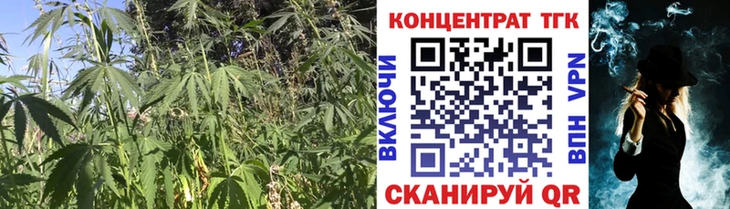 MEGA ссылка  Куйбышев  Дистиллят ТГК жижа 