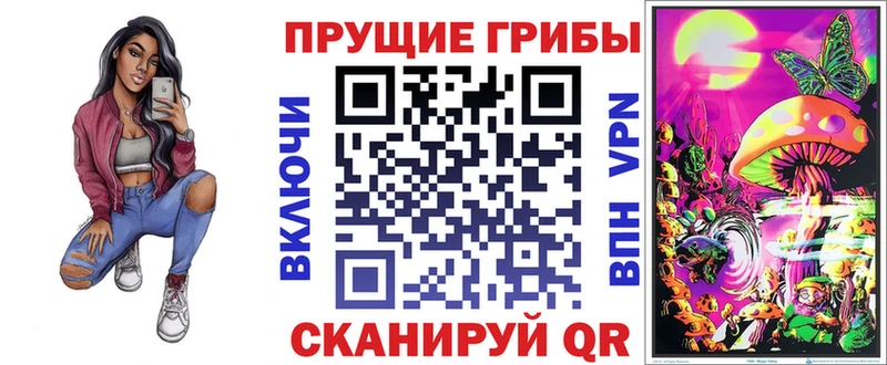 купить наркоту  Куйбышев  кракен ONION  Псилоцибиновые грибы мухоморы 